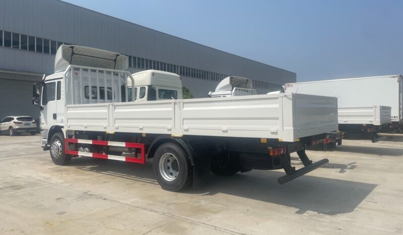 
								SHACMAN D-Long L3000 4×2 210hp Normal Cargo Truck full									