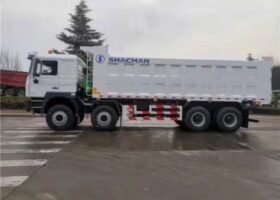 F3000 12 Wheels 8×4 400hp Tipper Truck for Guinea